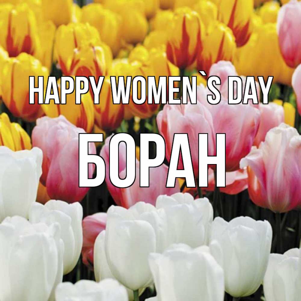 Greetings card с именем, Боран happy women`s day разноцветные цветы Greetings with text for free download 